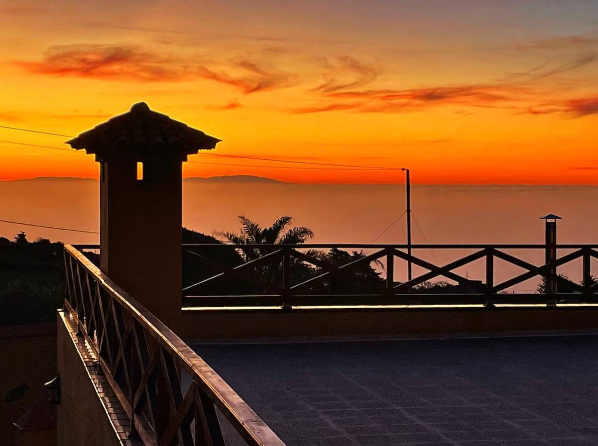 Рэтрыт для палітвязынак