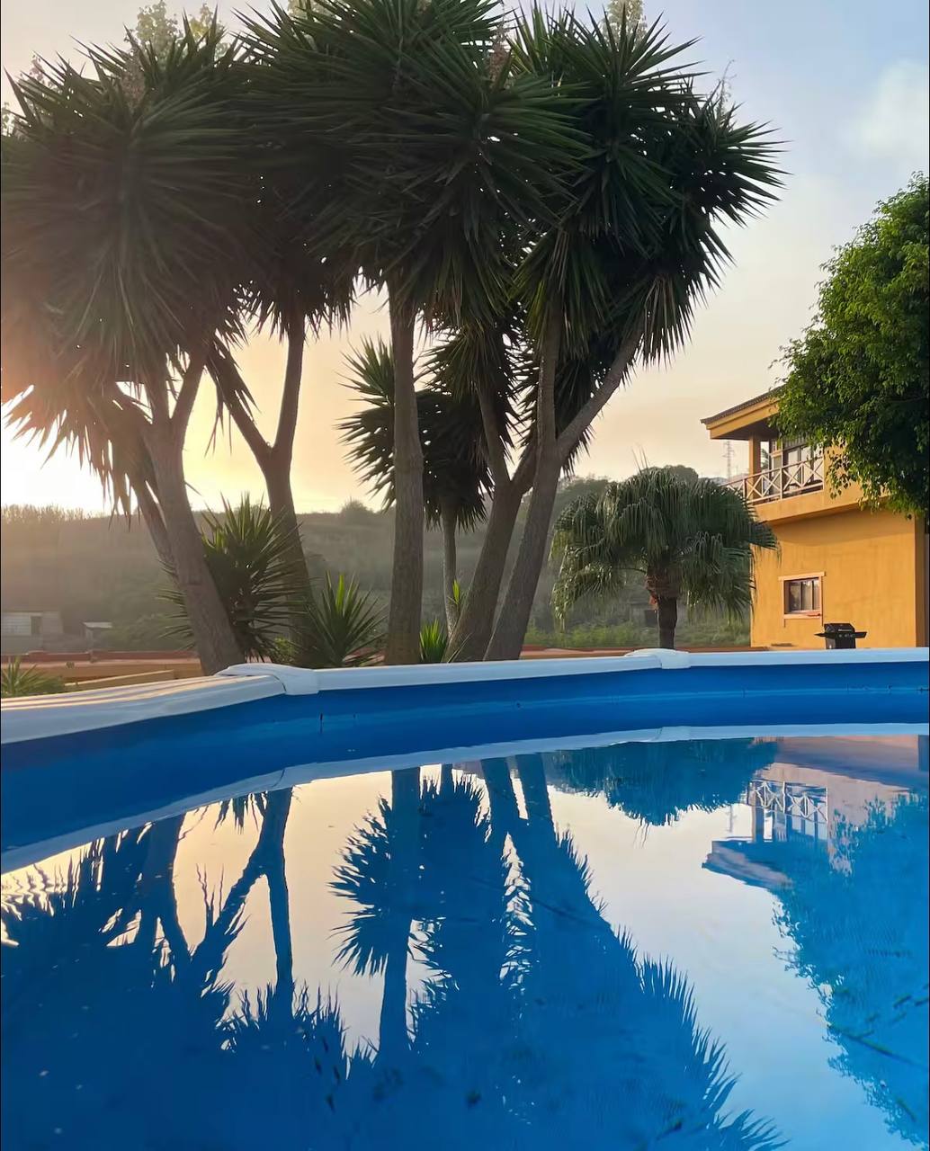 Рэтрыт для палітвязынак